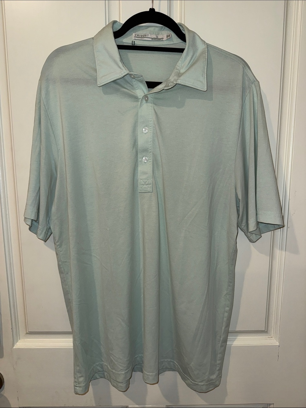 Criquet Men's Light Mint Green Polo